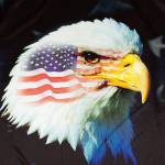 Freedom Eagle Profile Picture